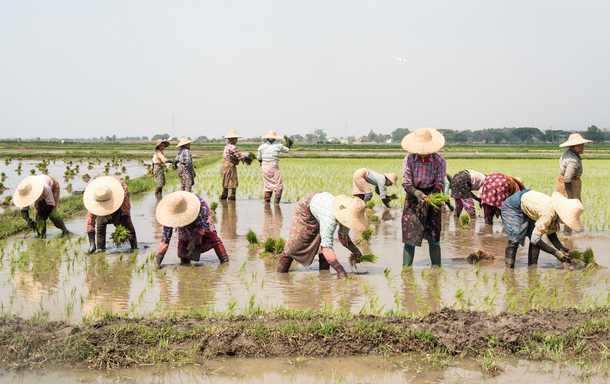 Foto di Alejandro Rugama su Unsplash