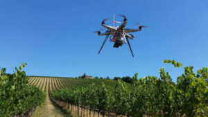 Un drone sui vigneti sulle colline novaresi