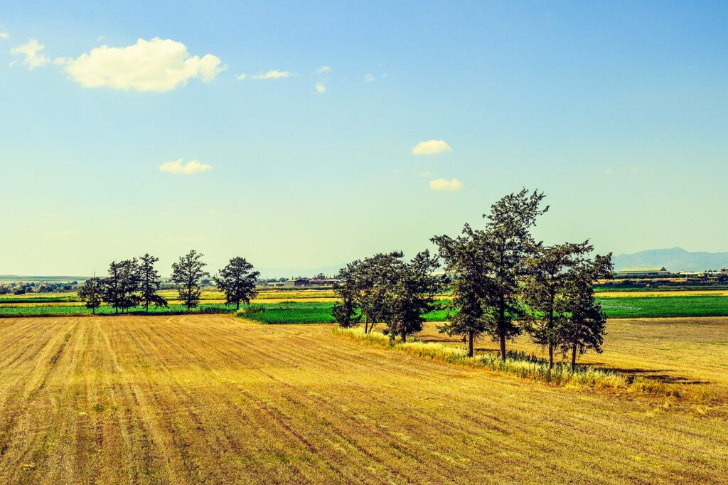 Storie di agricoltura di donne rurali