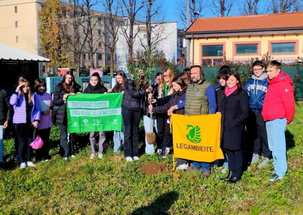 Giulia Cecchettin. Alcuni alberi posati in sua memoria ad Arona